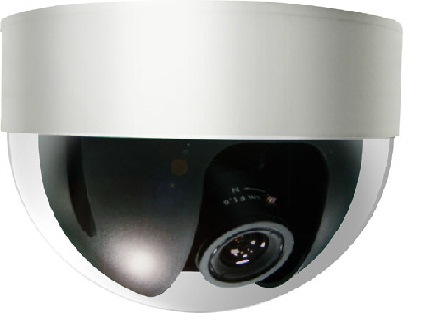 Ảnh Camera IP Avtech AVN222ZVP loại dome giá rẻ